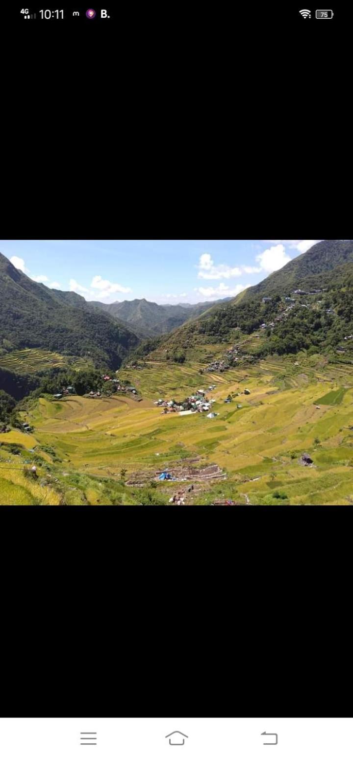 Batad Village Homestay & Restaurant Banaue Extérieur photo